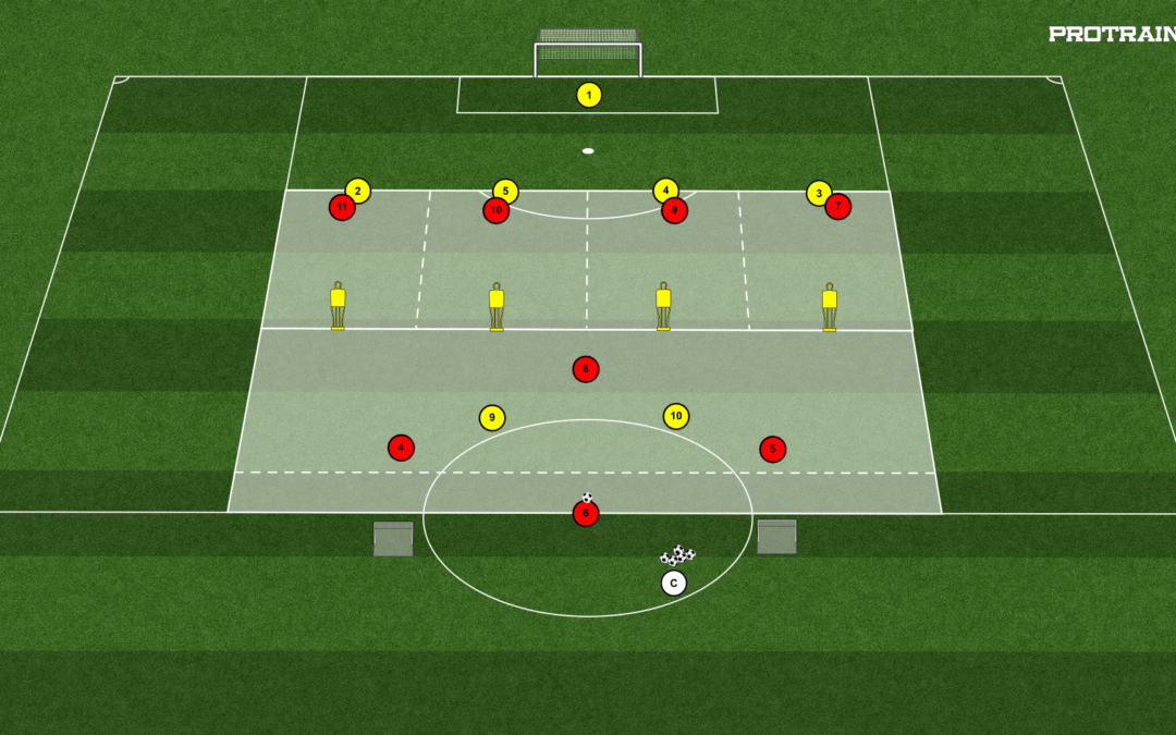 13# GRA FALOWA 4×2 -> 1×1 -> 4(+1)x4+BR -> 8×6+BR