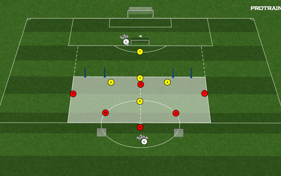 29# GRA FALOWA 5×4+BR+1N