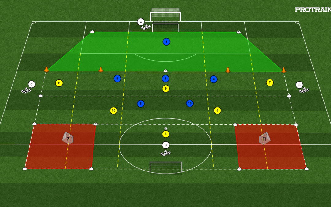 38# GRA FALOWA 6×5+BR na 3 bramki