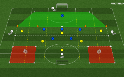 38# GRA FALOWA 6×5+BR na 3 bramki